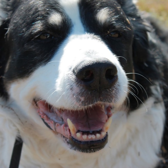 Meet your Posher, Rebeccac918 - Picture 1 of 1